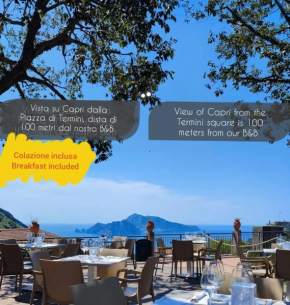 La Rondine B&B